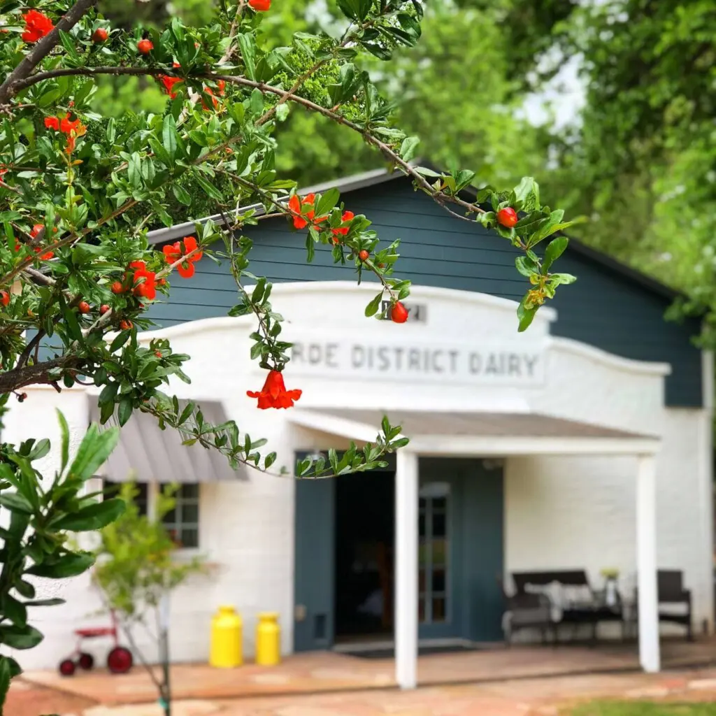 56235fcf fa6a 456b 8a8b d9df83f98c94