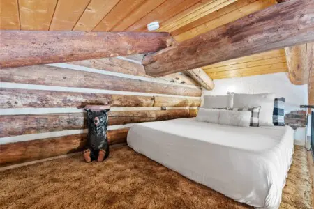 azgxtz7vd2pscjmduugi