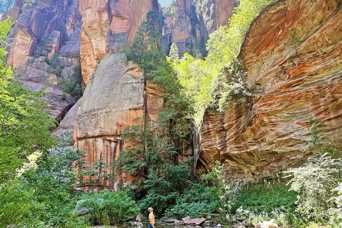 br8qzcntpqksrw0cu2ya