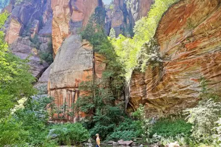 br8qzcntpqksrw0cu2ya