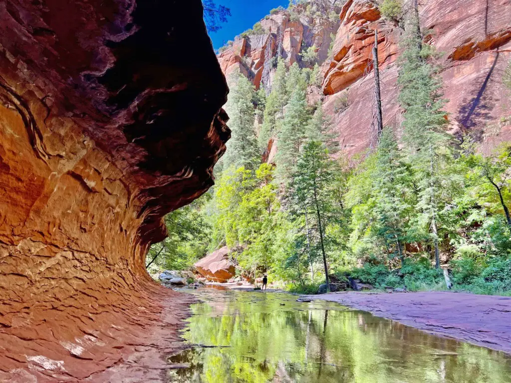 cr3bvw865f4vcapoy5qh