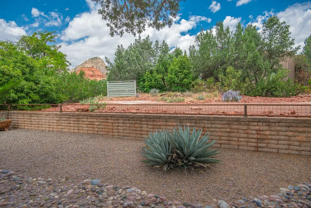 ingtvsptp1kcztcbddha