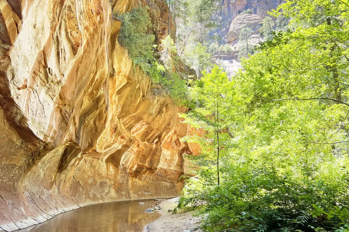 jyognrgymgs0hyhlesvr