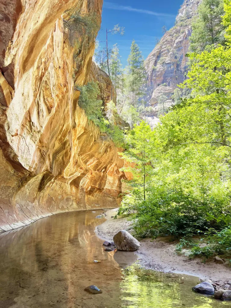 jyognrgymgs0hyhlesvr