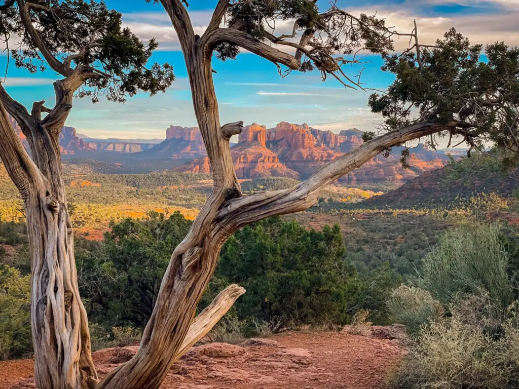 mszuxslcglf0uqj2wxsw