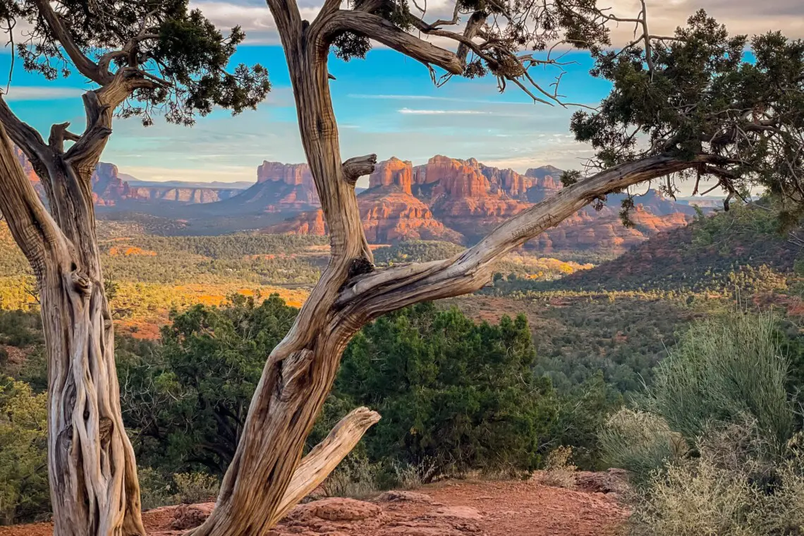 mszuxslcglf0uqj2wxsw