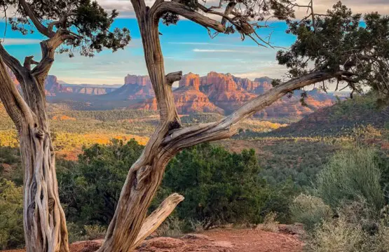 mszuxslcglf0uqj2wxsw