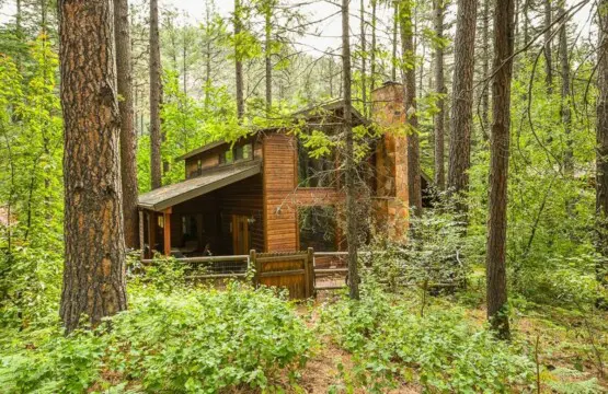 original 17813568 1569316255