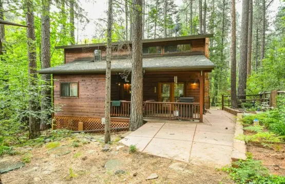 original 17813568 1569316266