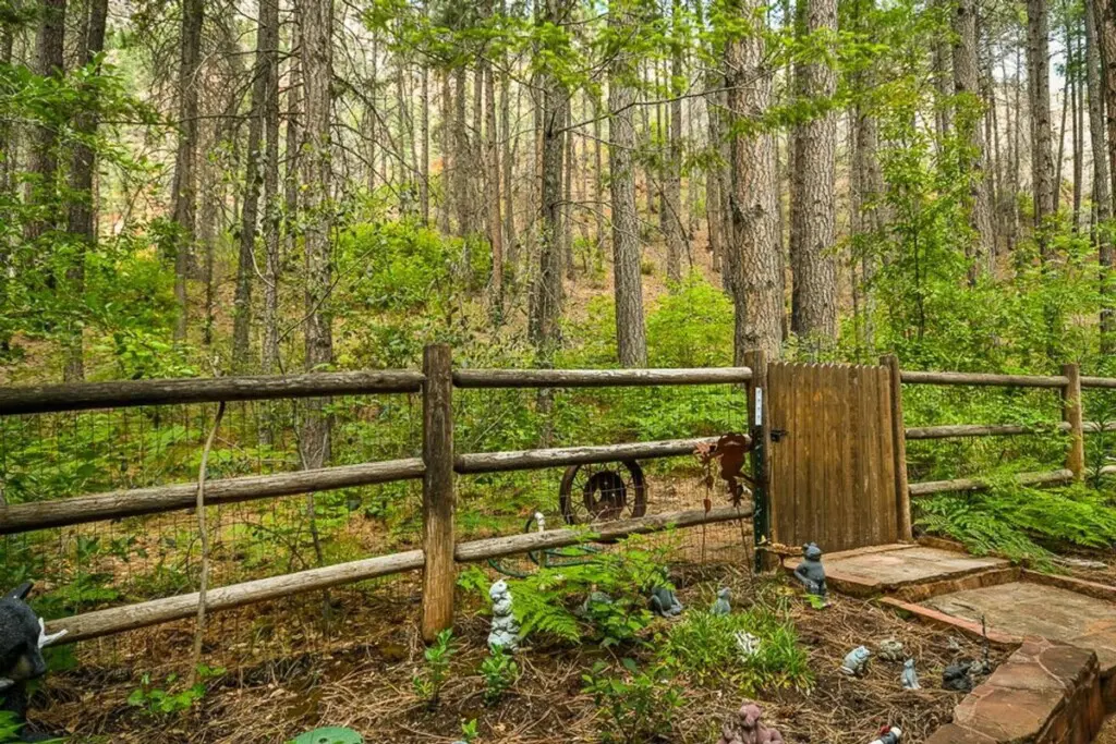 original 17813568 1569316277