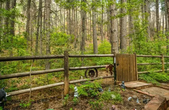 original 17813568 1569316277