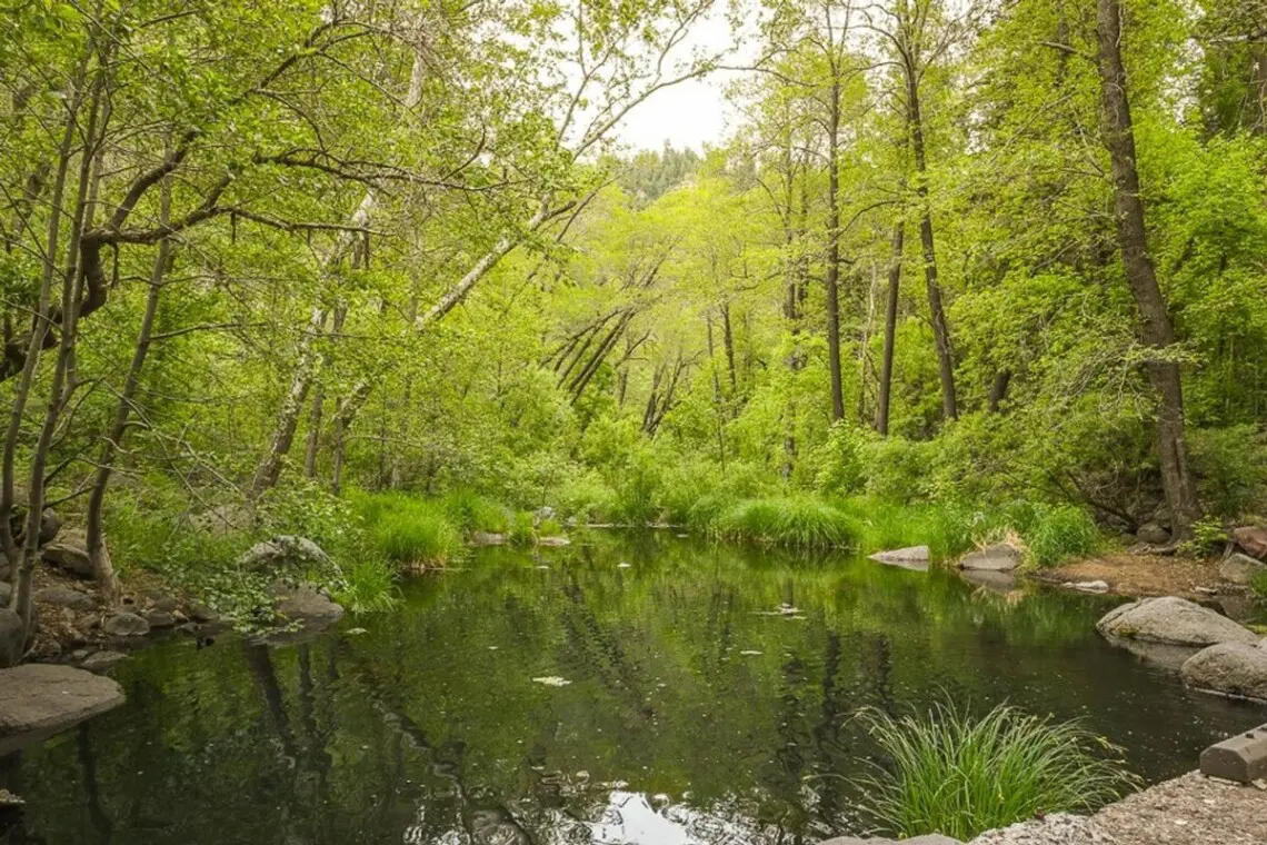 original 17813568 1569316287