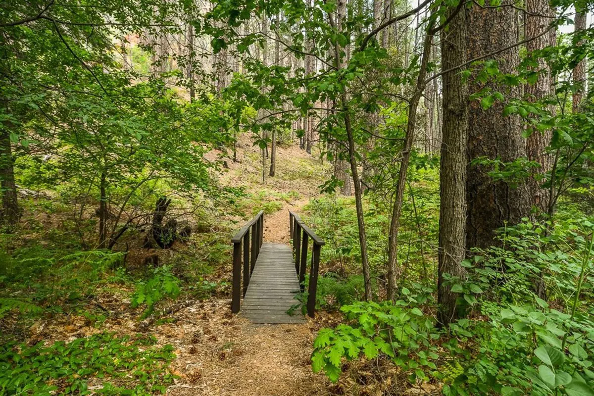 original 17813568 1569316302