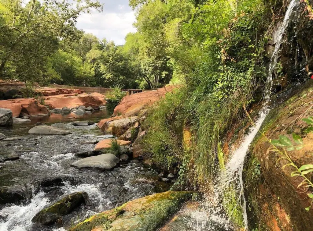 original 17813568 1569316421