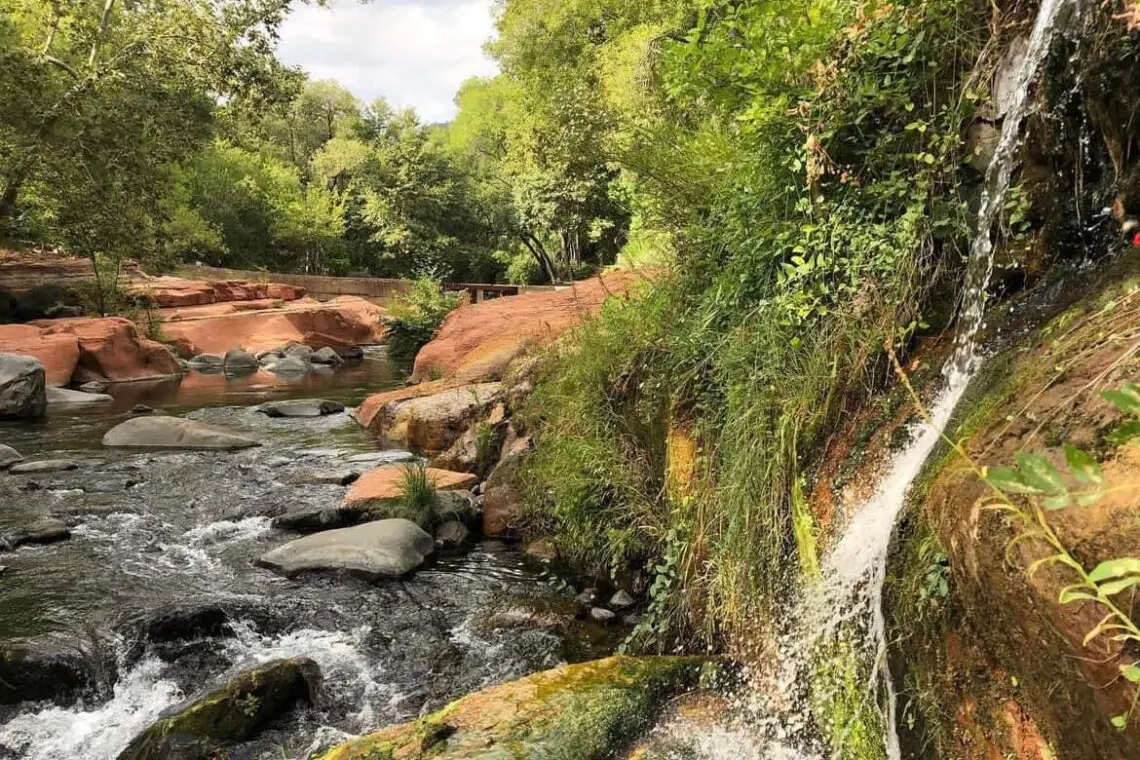 original 17813568 1569316421