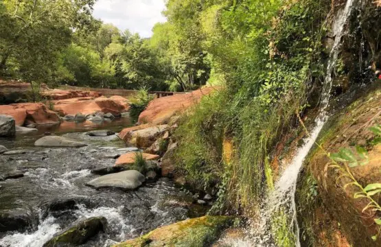 original 17813568 1569316421