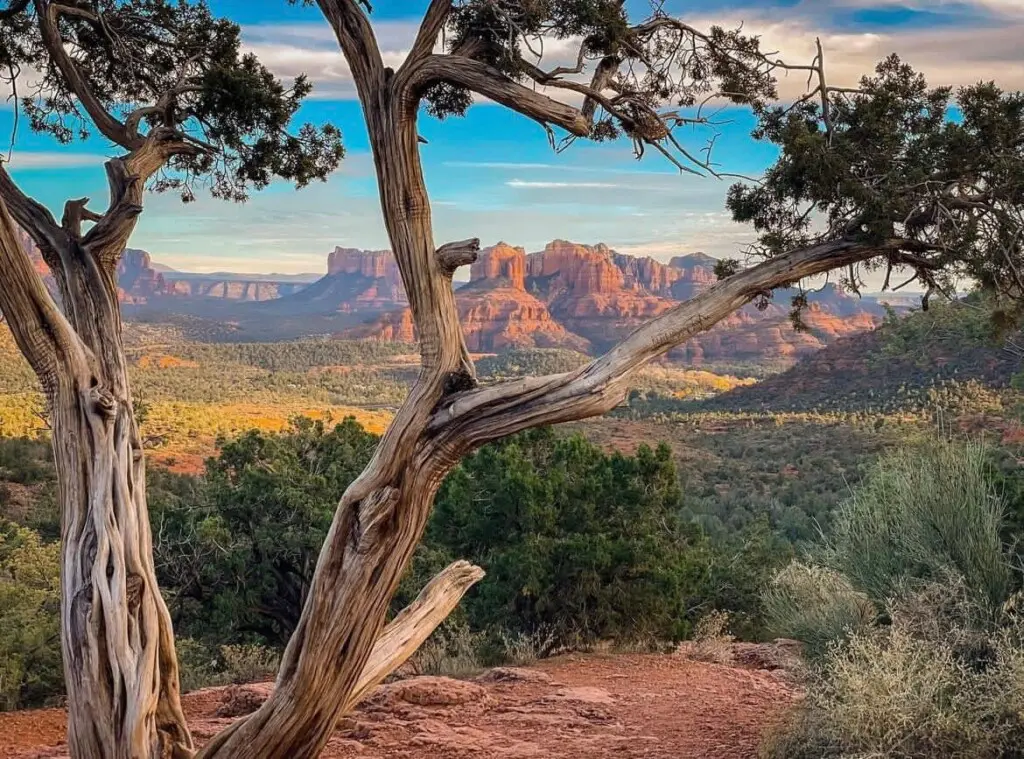 original 17813568 1569316445