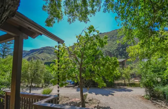 original 37089945 1067471079