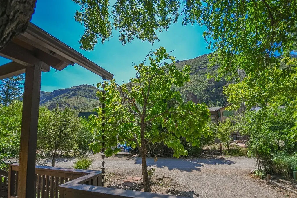 original 37089945 1067471079