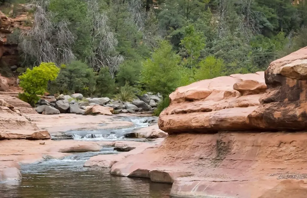 original 37089945 1569313741