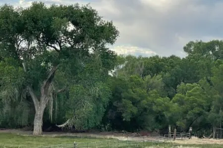 original 820283056213028987 1581784377