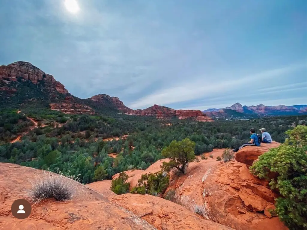 original 820283056213028987 1581784448