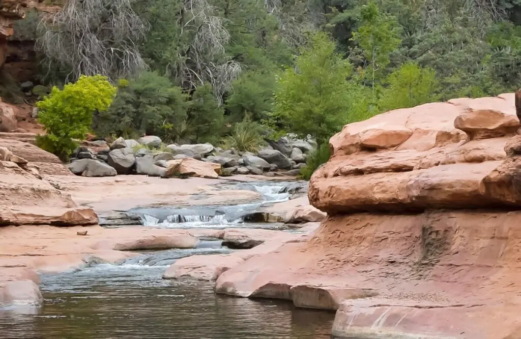 original 820283056213028987 1581784497