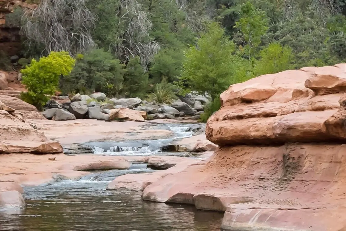 original 820283056213028987 1581784497