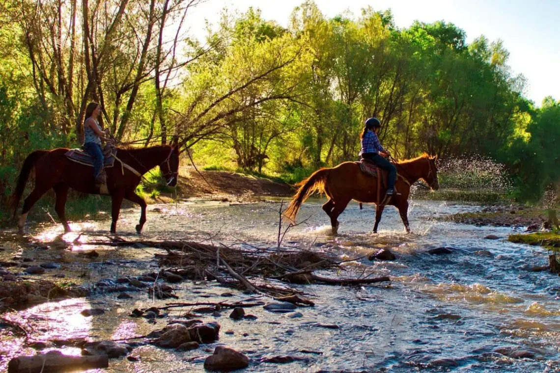 original 820283056213028987 1581784711