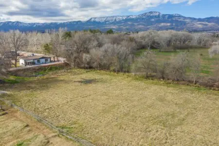 original 820283056213028987 1594235518