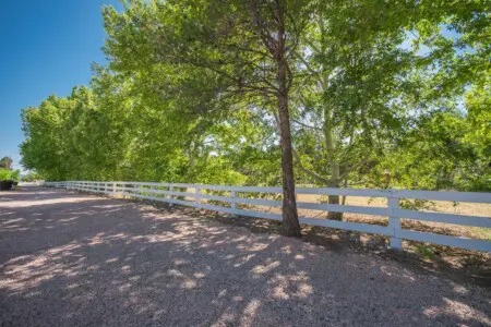 original 820283056213028987 1650484692