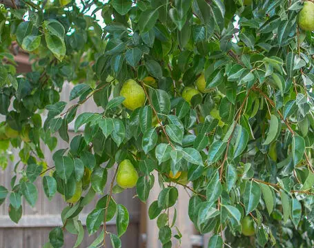 razkhzoeglmnngegro7w