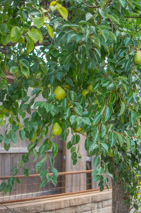 razkhzoeglmnngegro7w