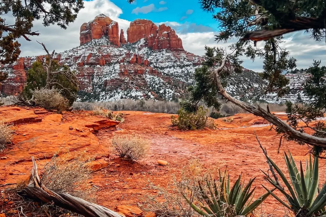 vit9vefkejlabf12ilmc