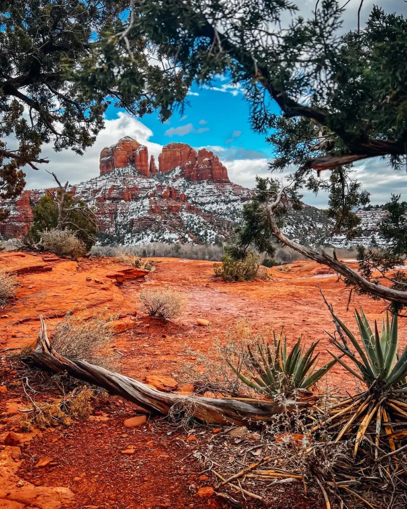 vit9vefkejlabf12ilmc