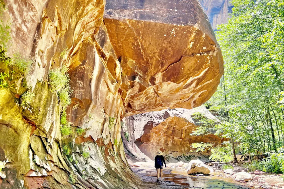 alqxeblctwucq512kvix