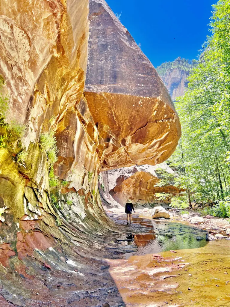 alqxeblctwucq512kvix