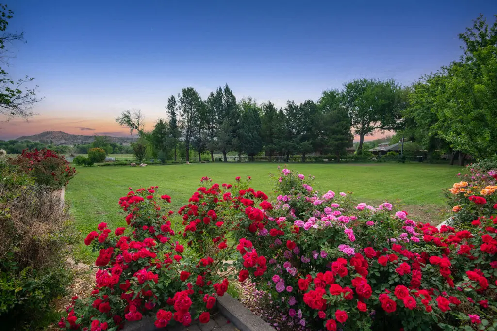 fwu9udtylj0mkzk8gdzt