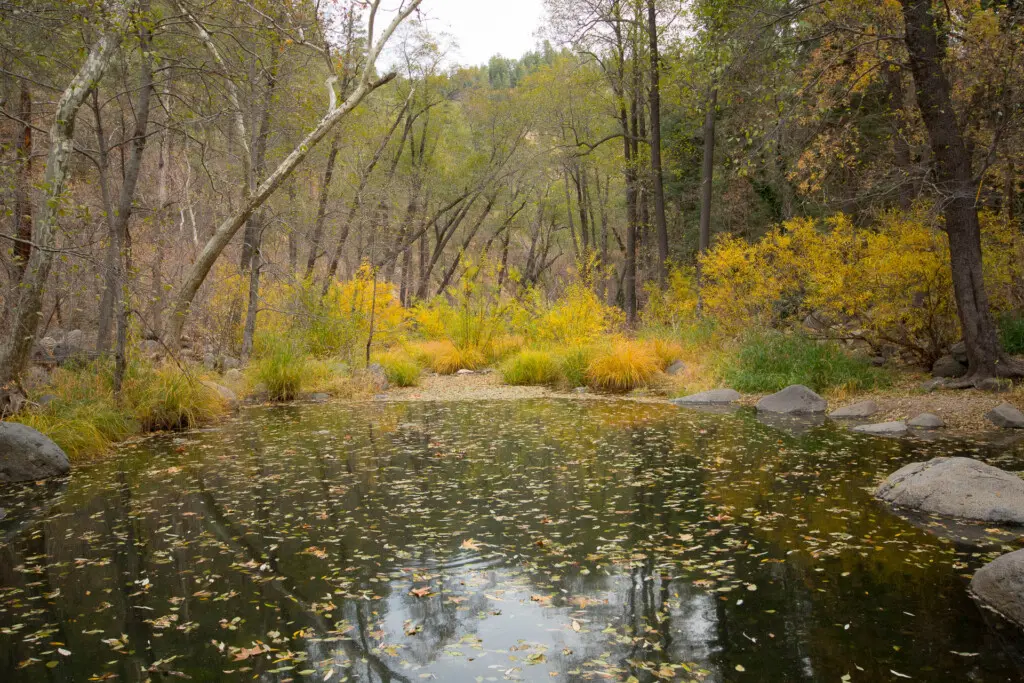 ggoj6lbpjx7szpegrvqq