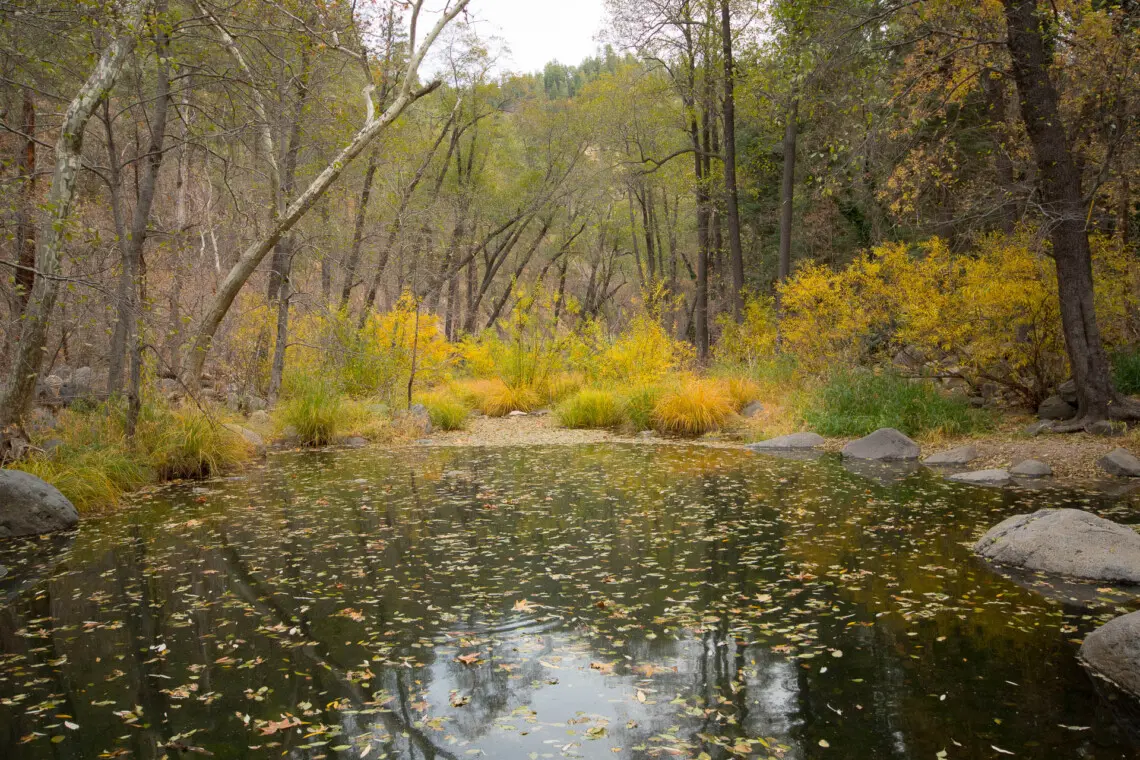 ggoj6lbpjx7szpegrvqq