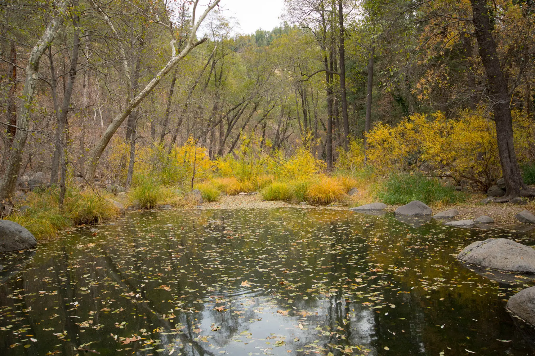 ggoj6lbpjx7szpegrvqq