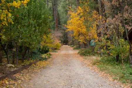 hsxzn0g9zzked4gosm0k