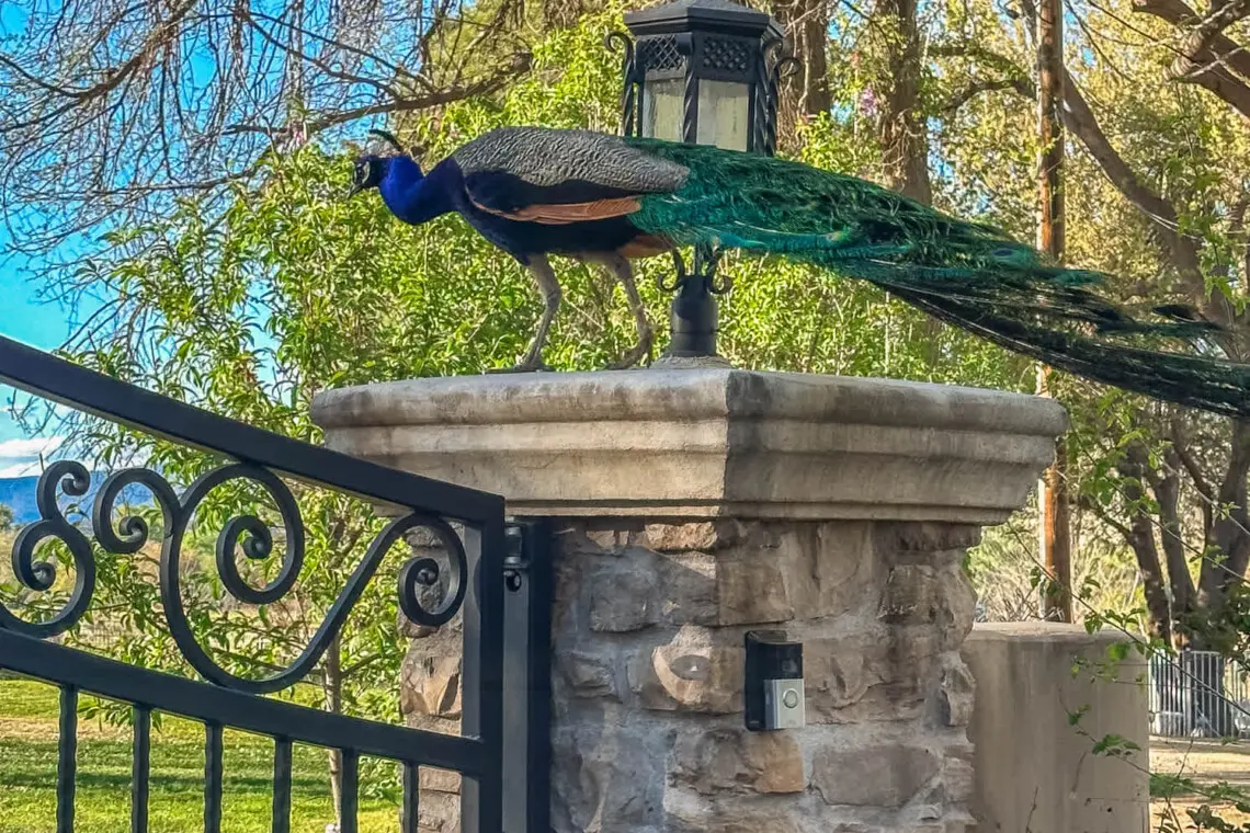 hycbswfyonmg7xbn7agr