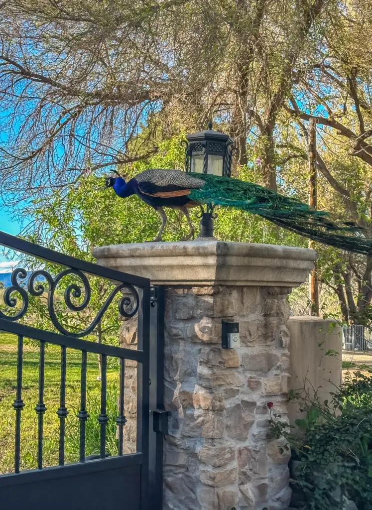 hycbswfyonmg7xbn7agr