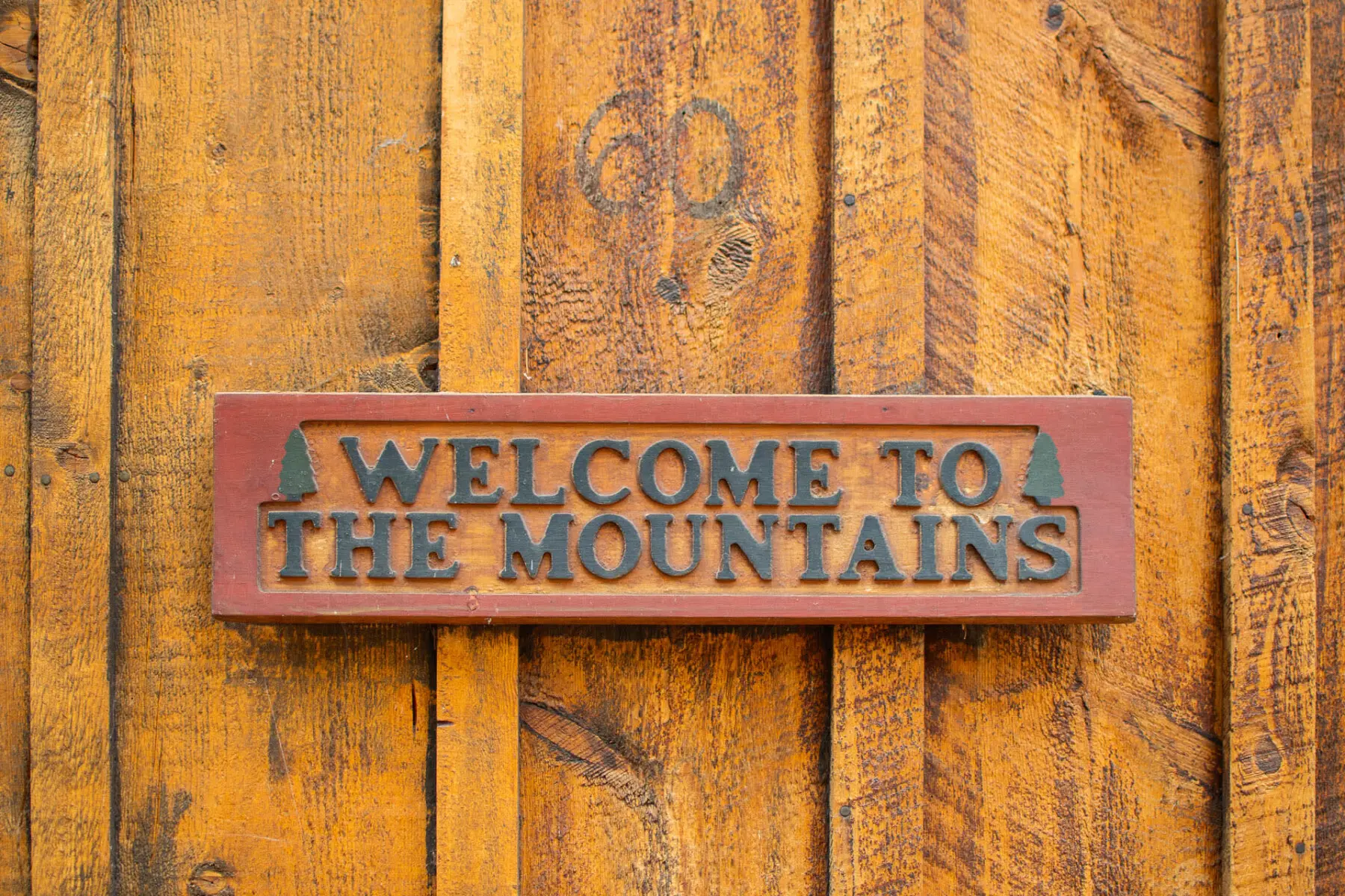 ieevsxlbtyxesrqpxp4x