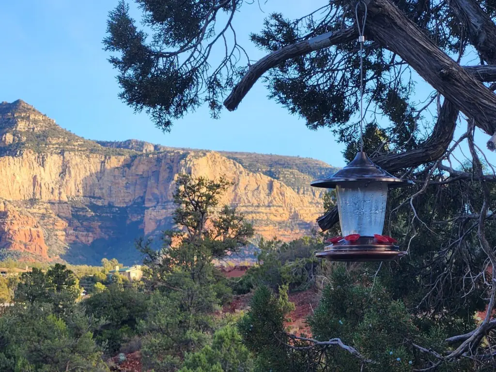 ikie9bwipxez68frubjw