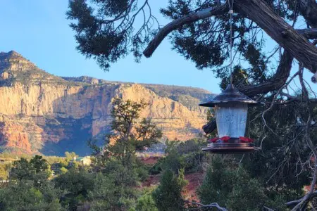 ikie9bwipxez68frubjw