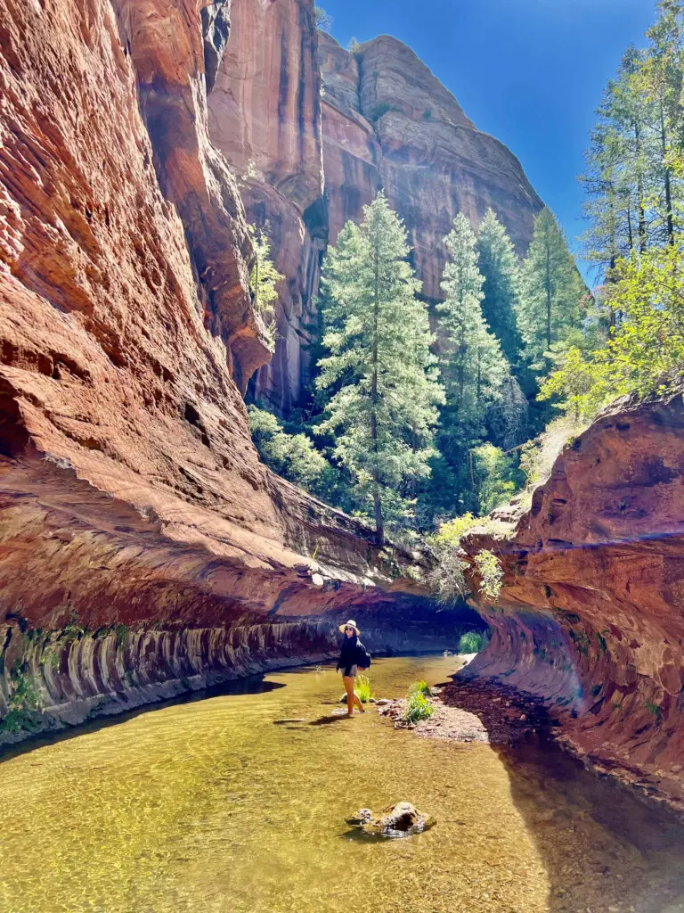 ixmy42ictigfgw5ouje5