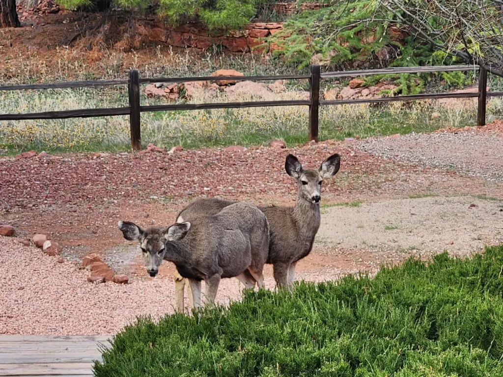 ko2vrtpjdhgtv18eyott