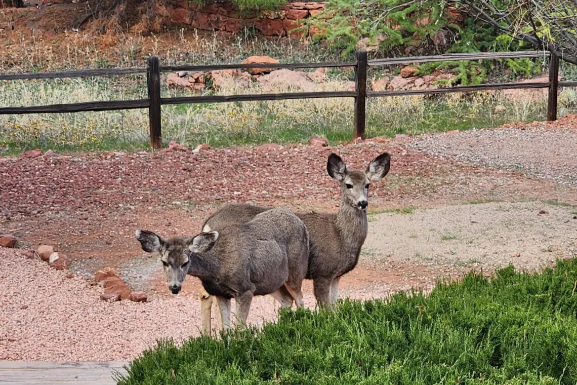 ko2vrtpjdhgtv18eyott